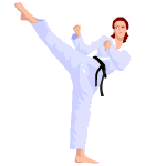 Sport graphics karate 325443